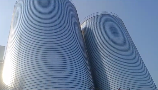 端州2座混凝土高架卷板仓